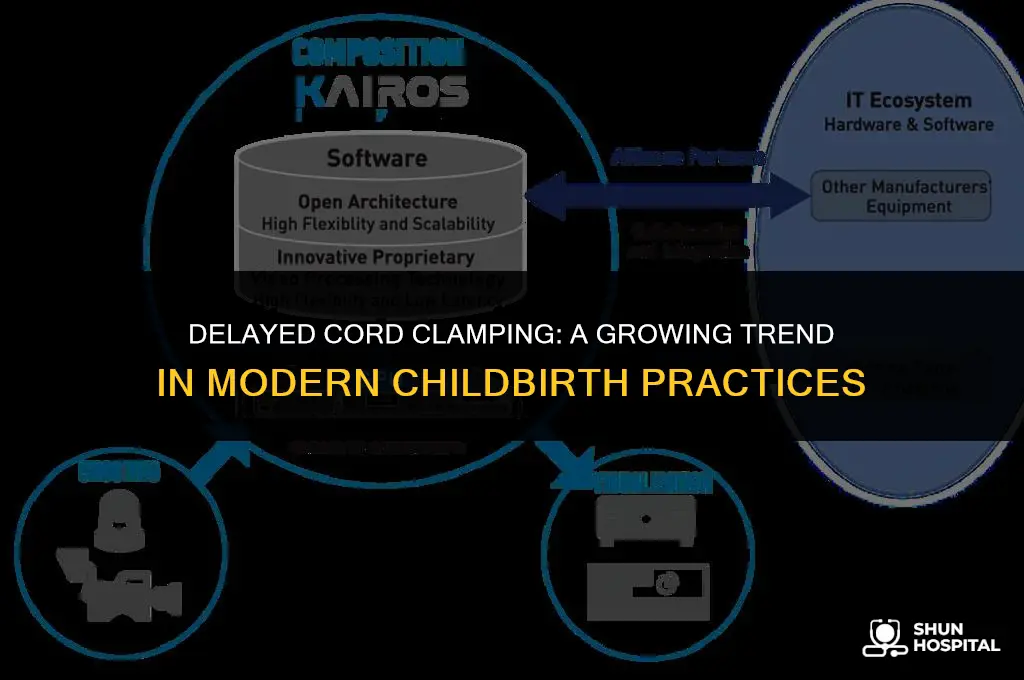 do hospitals allow delayed cord clamping