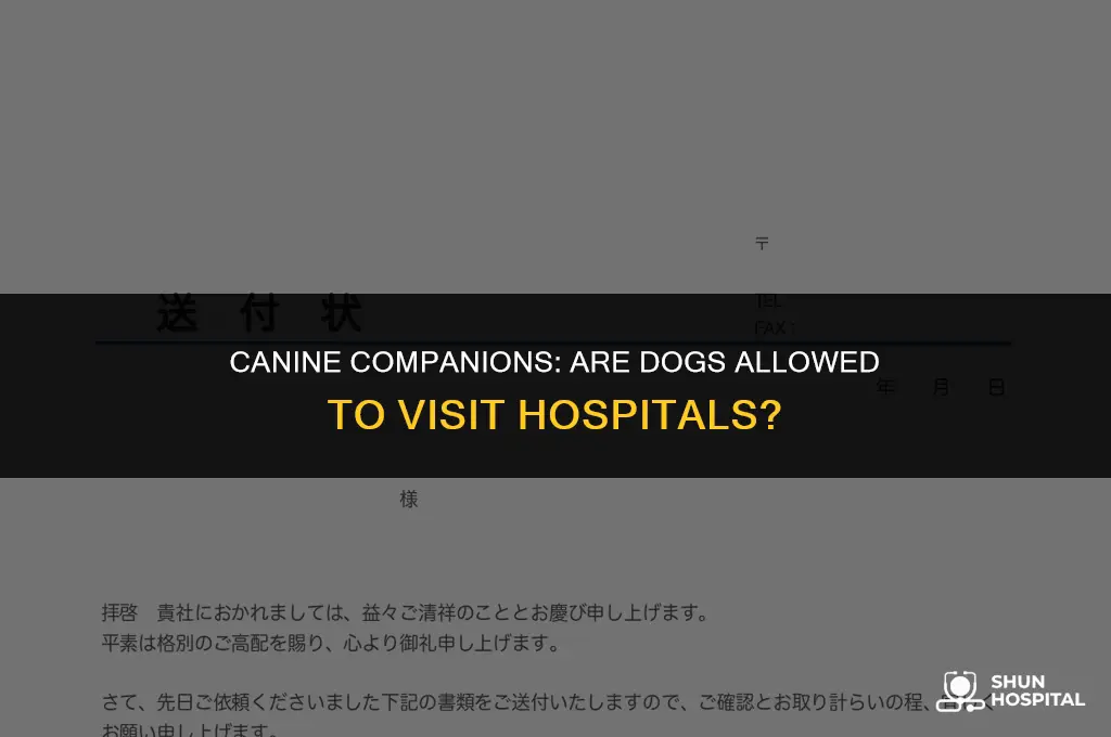 do hospitals allow dogs to visit