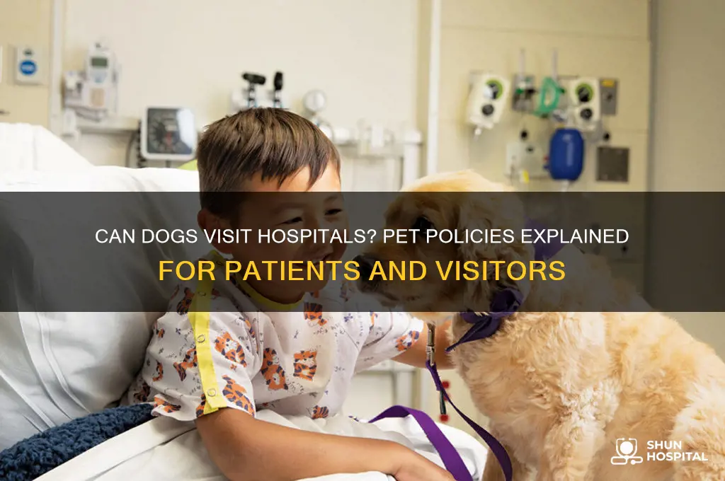 do hospitals allow dogs