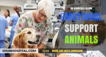 Emotional Support Animals in Hospitals: Policies and Considerations