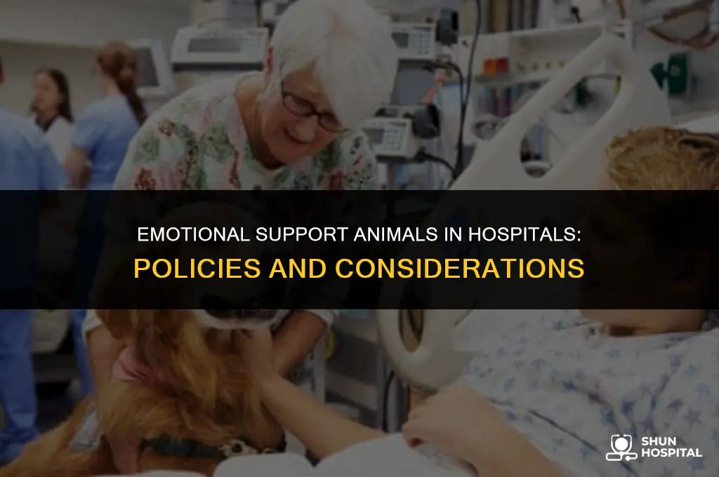 do hospitals allow emotional support animals