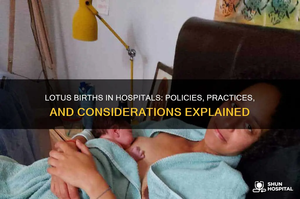 do hospitals allow lotus births