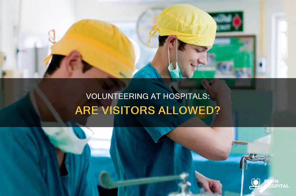 do hospitals allow visits for volutering services