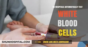 White Blood Cell Testing: A Hospital Standard?