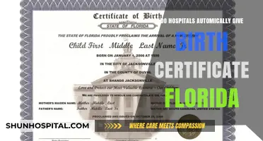 Hospitals and Birth Certificates: Florida's Automatic Process