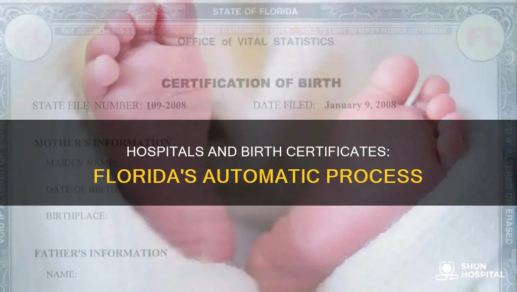 do hospitals automically give birth certificate florida