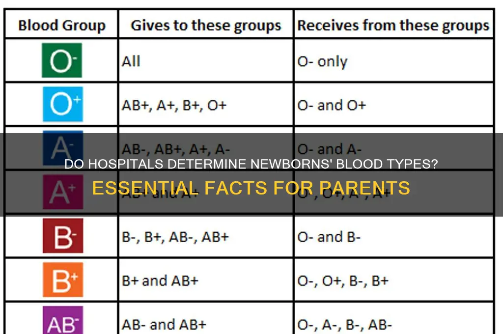 do hospitals blood type newborns