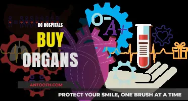 Do Hospitals Purchase Organs? Unraveling Myths and Ethical Realities
