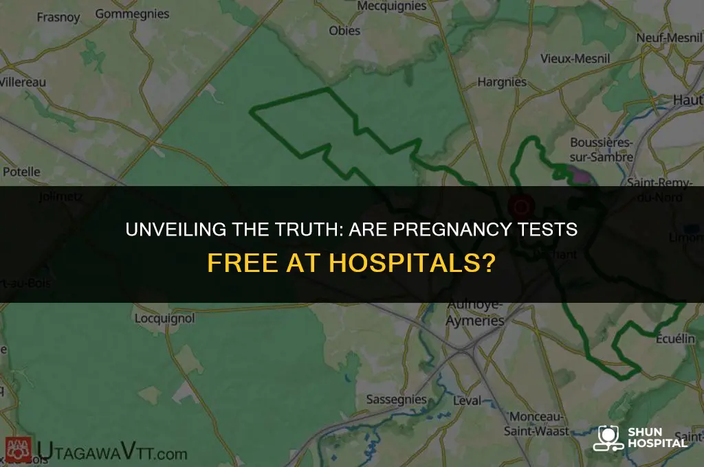 do hospitals charge for pregnancy tests