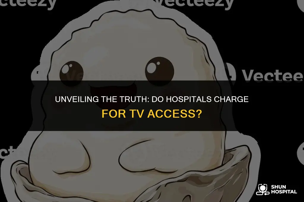 do hospitals charge to watch tv