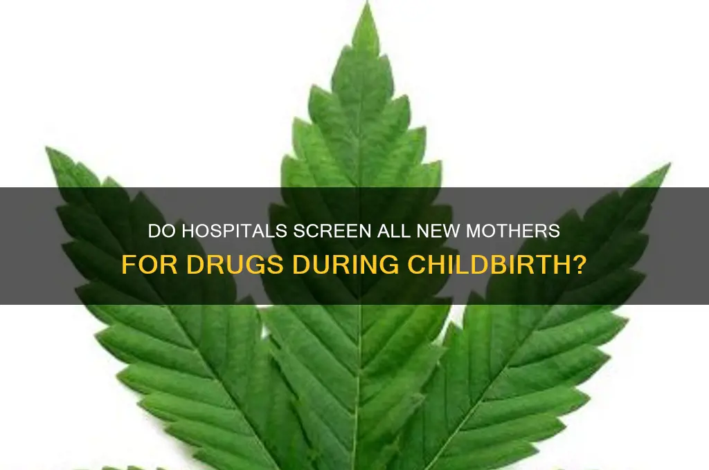 do hospitals check all women for drugs at child birth