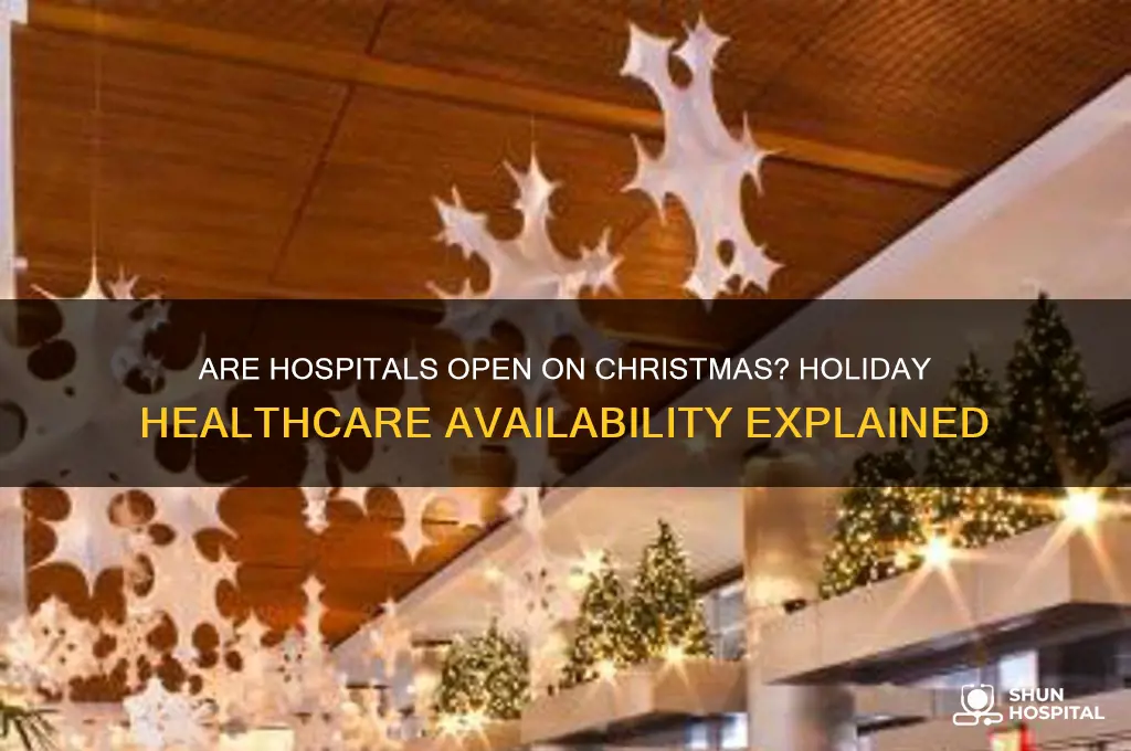 do hospitals close on christmas