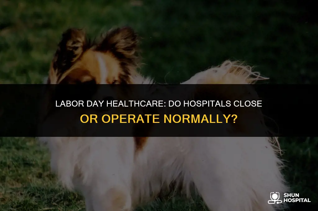 do hospitals close on labor day