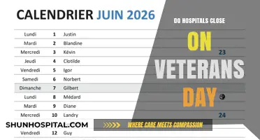 Veterans Day Observance: Do Hospitals Alter Their Operations?