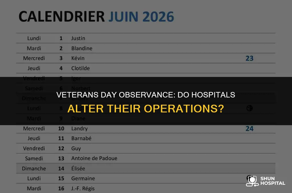 do hospitals close on veterans day