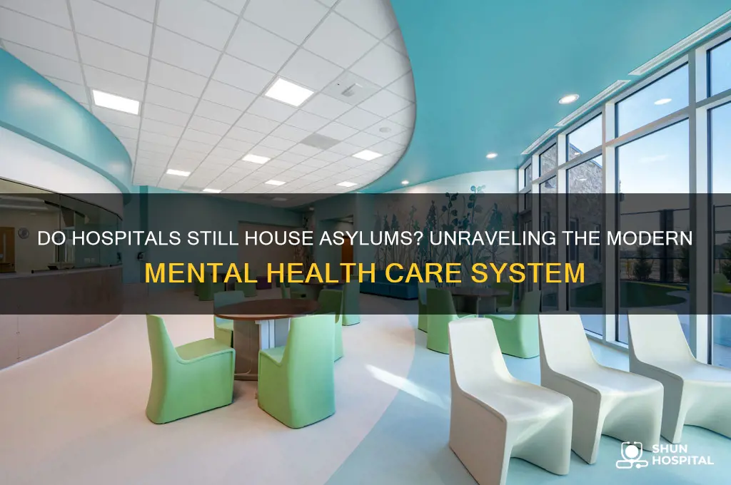 do hospitals contain asylums