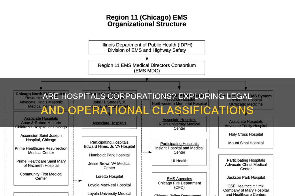 do hospitals count as corporations