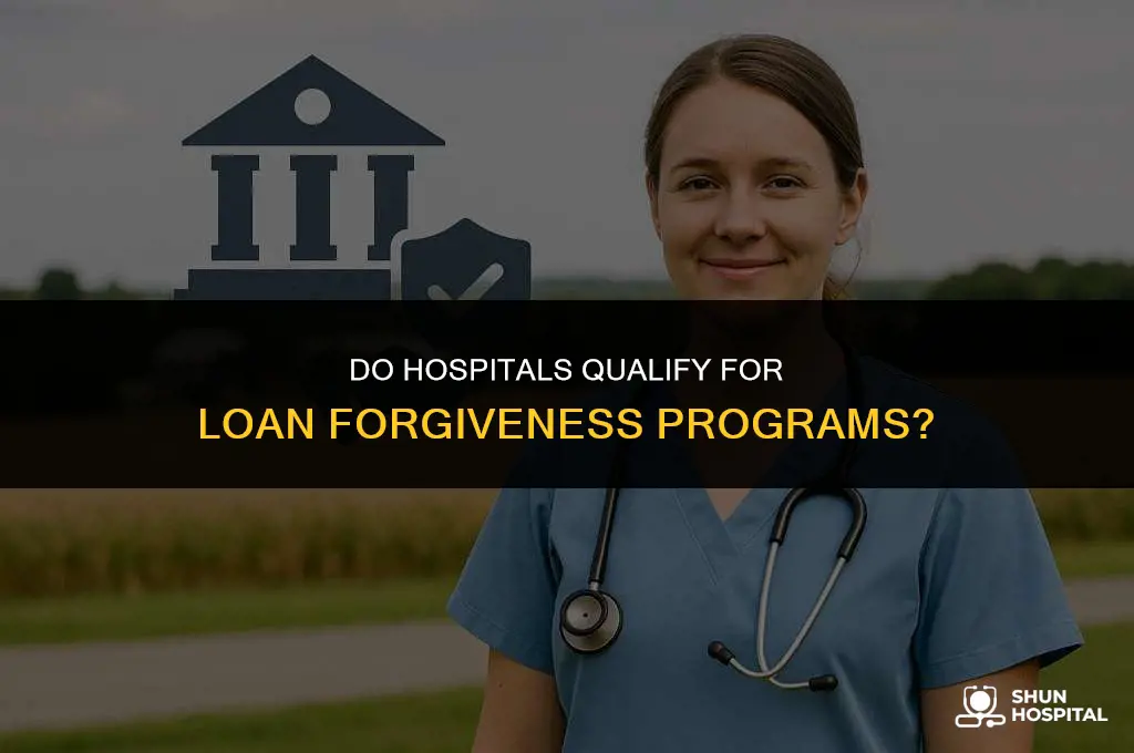 do hospitals count for loan forgiveness