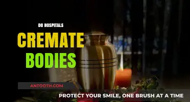 Do Hospitals Cremate Bodies? Uncovering the Truth Behind Mortuary Practices