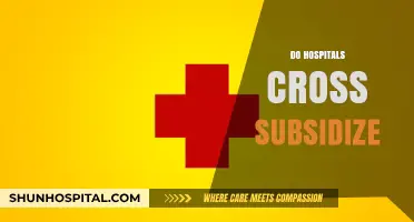 Do Hospitals Cross-Subsidize? Unraveling Financial Practices in Healthcare Systems