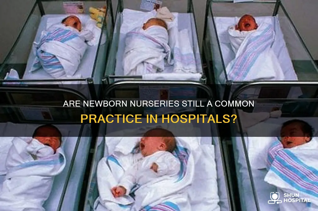 do hospitals display neborns anymore