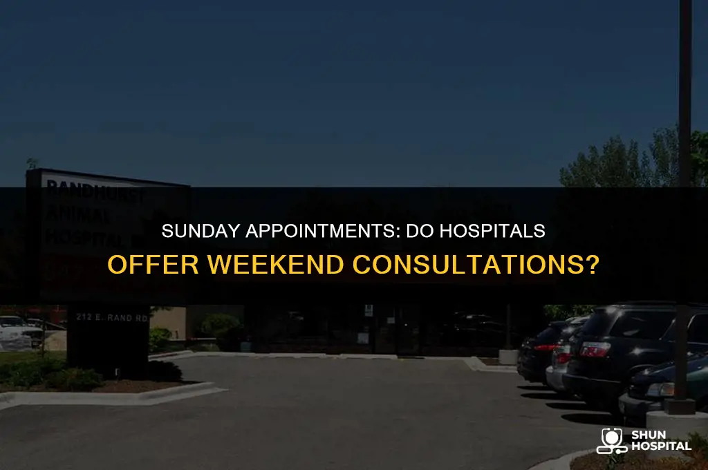 do hospitals do appointments on sundays