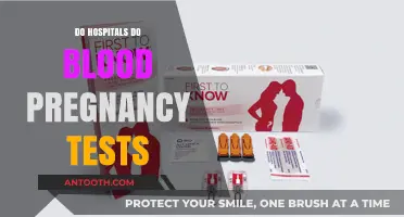 Exploring Pregnancy Testing Options: Do Hospitals Conduct Blood Tests?
