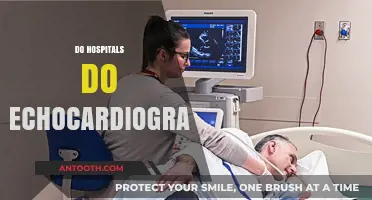 Do Hospitals Perform Echocardiograms? Understanding Cardiac Imaging Services