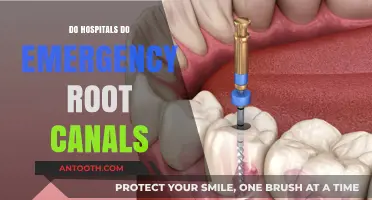 Urgent Dental Care: Do Hospitals Perform Emergency Root Canals?