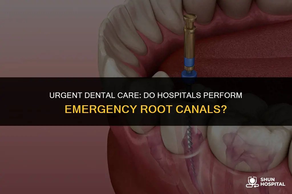 do hospitals do emergency root canals