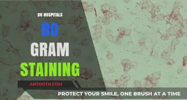 Do Hospitals Perform Gram Staining? Unveiling Microbial Identification Techniques