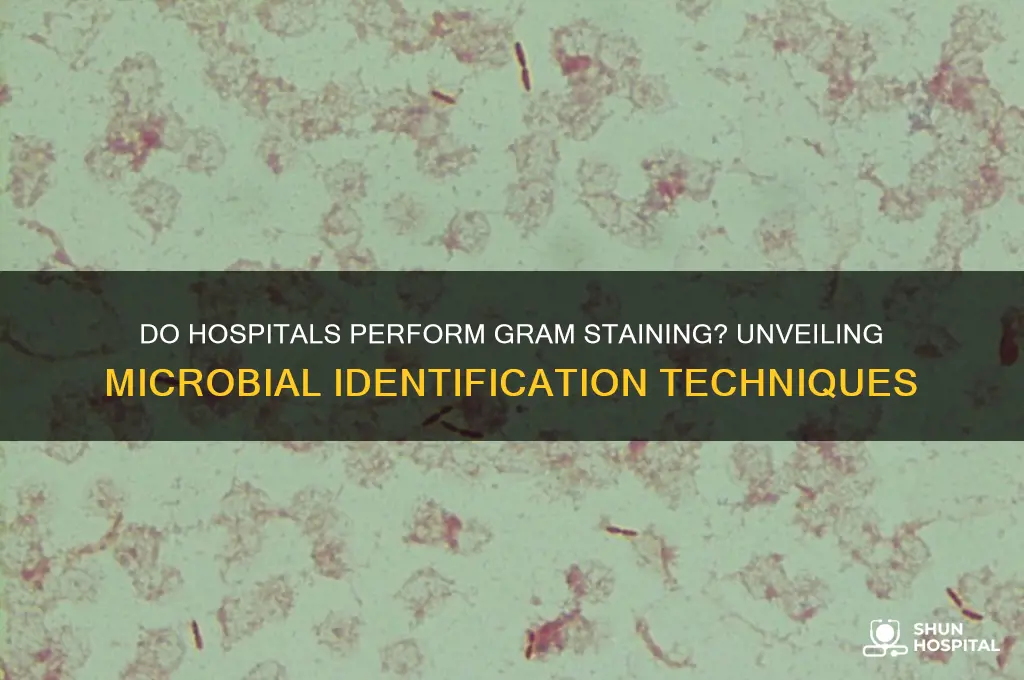 do hospitals do gram staining
