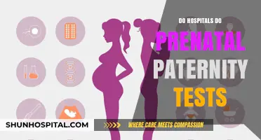 Exploring Prenatal Paternity Testing: What Expectant Parents Need to Know