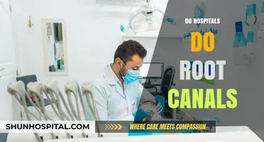 Do Hospitals Perform Root Canals? Understanding Dental Care Settings