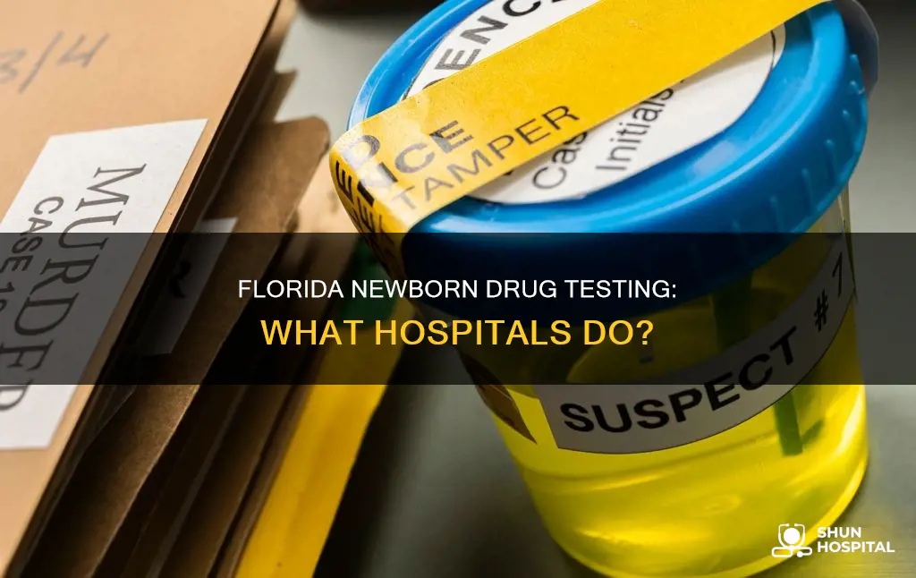 do hospitals drug test newborns in florida