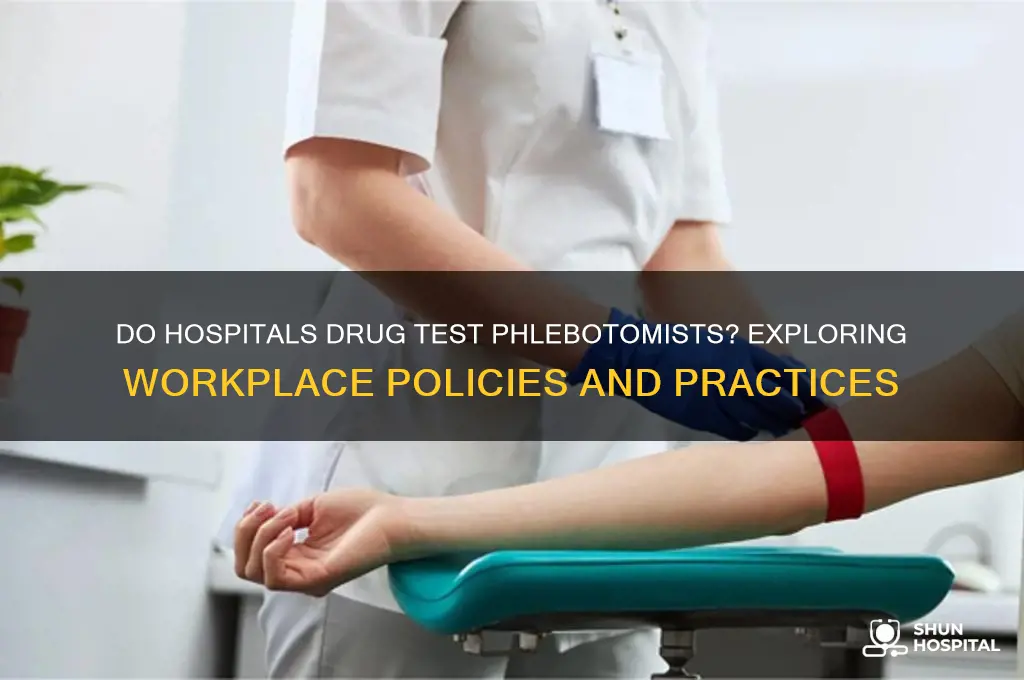 do hospitals drug test phlebotomists