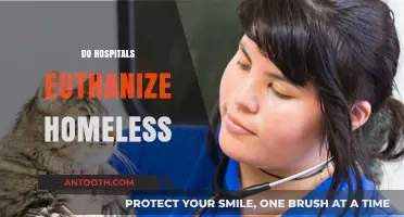 Do Hospitals Euthanize Homeless Patients? Uncovering the Truth and Ethics