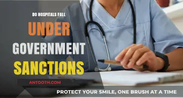 Exploring Government Sanctions: Do Hospitals Qualify?