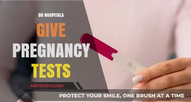 Do Hospitals Provide Pregnancy Tests? What You Need to Know