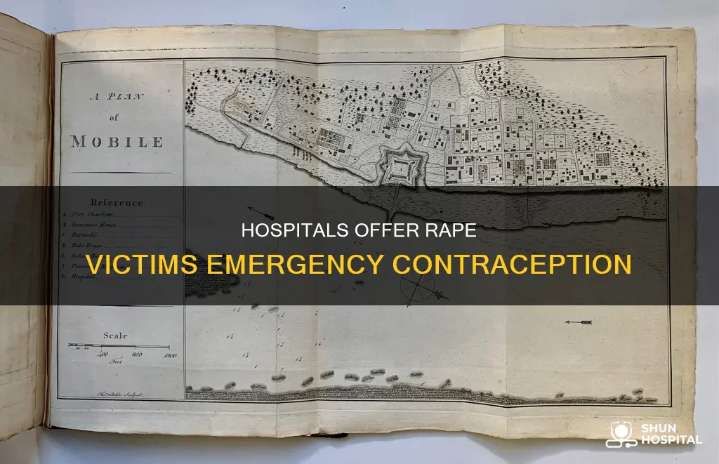 do hospitals give rape victims plan b