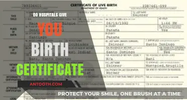 Understanding Birth Certificates: A Guide to Hospital Documentation