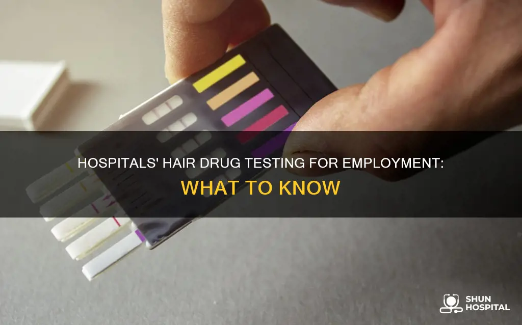 do hospitals hair drug test for employment