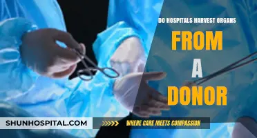 Hospitals and Organ Donation: Ethical Harvesting?