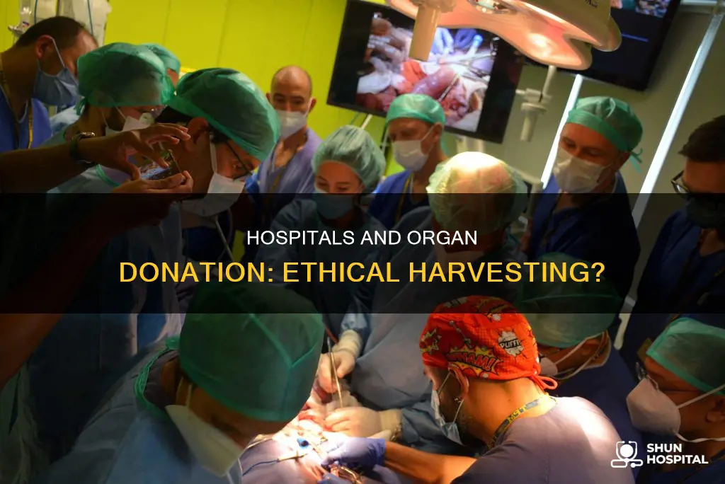 do hospitals harvest organs from a donor
