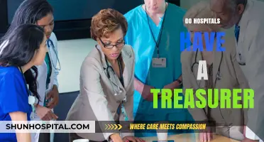 Do Hospitals Have a Treasurer? Exploring Financial Leadership Roles