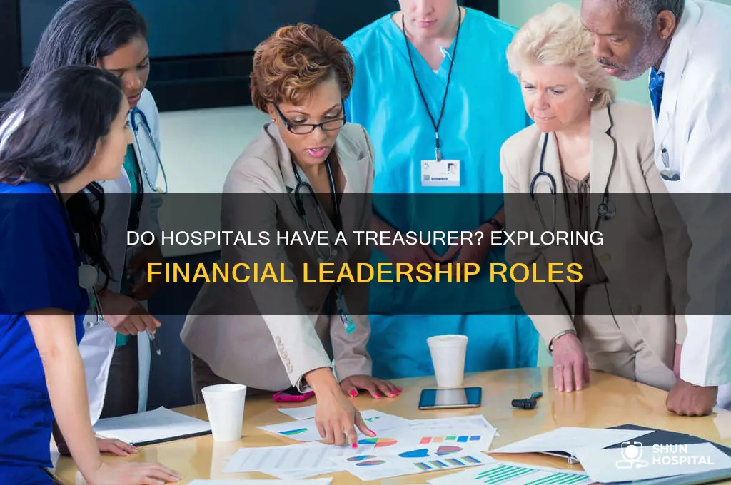 do hospitals have a treasurer