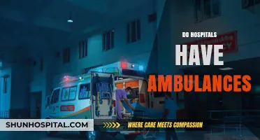 Do Hospitals Own Ambulances? Exploring Emergency Vehicle Operations