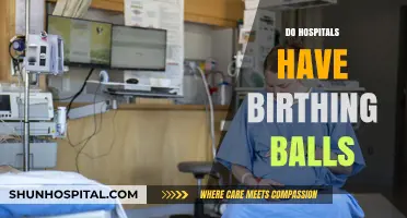 Birthing Balls in Hospitals: Availability, Benefits, and Usage Explained