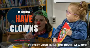 Do Hospitals Have Clowns? Exploring the Role of Laughter in Healthcare