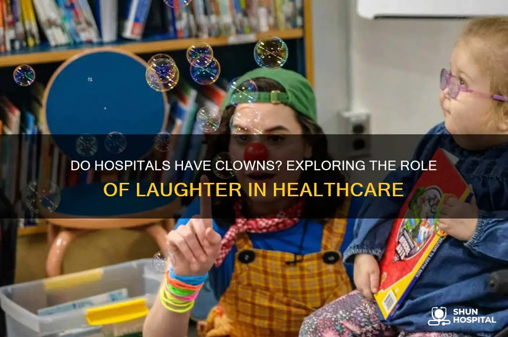 do hospitals have clowns